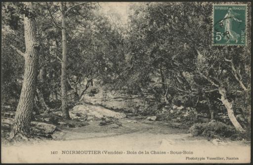 Le Bois de la Chaise : sous-bois (vue 1) et estacade (vue 2), panorama de la côte vu du bois (vue 3), rochers de l'anse du Beau Rivage avec l'estacade en arrière-plan (vue 4).